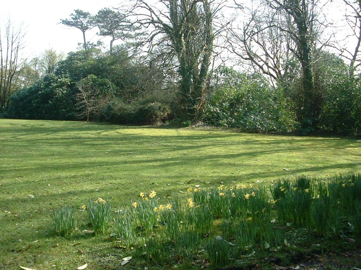 Oak Lodge Llanteg Luaran gambar